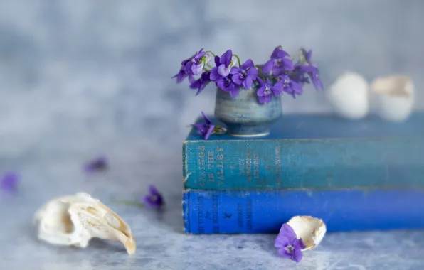 Flowers, books, skull, blur, still life, Pansy, blur, a bunch