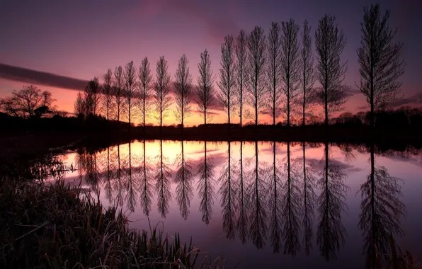Picture the sky, clouds, trees, sunset, lake, reflection, England, the evening