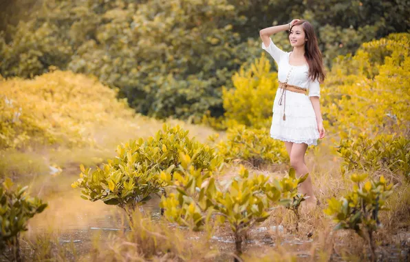 Picture field, girl, Asian