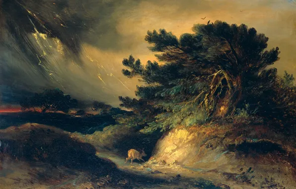 Trees, landscape, oil, storm, picture, Johannes Taweret