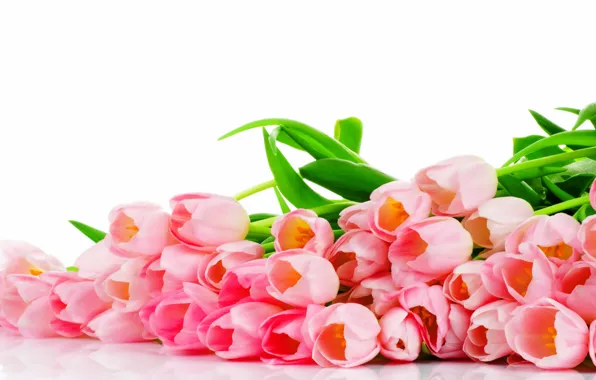Flowers, bouquet, tulips, pink, pink, flowers, tulips