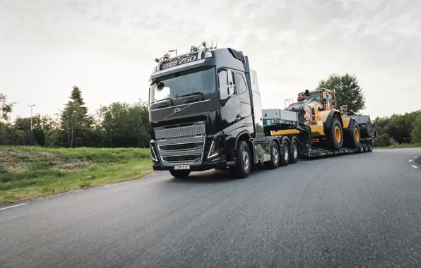 Road, forest, grass, asphalt, black, metalik, Volvo, truck