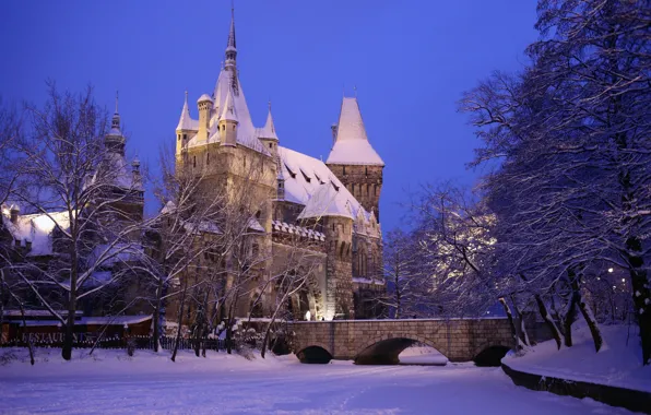 Picture winter, snow, the city, photo, castle, Hungary, Budapest, Ter
