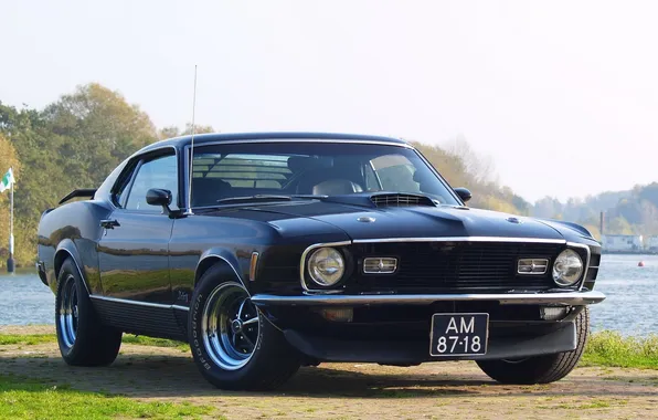 Mustang, 1970, мач1