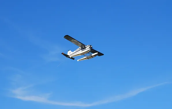Picture the sky, the plane, multipurpose, single-engine, easy, DHC-2 Beaver