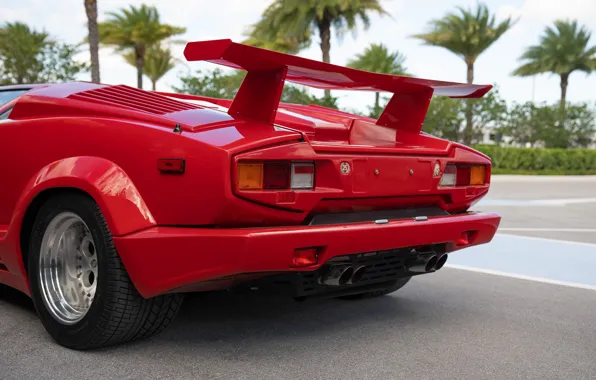 Lamborghini, Lambo, rear view, Countach, wing, Lamborghini Countach 25th Anniversary