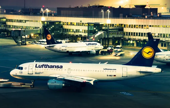 The evening, airport, lufthansa