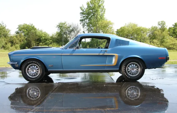 Picture Muscle, Ford Mustang, Classic, Blue, Fastback, Cobra Jet, GT 428