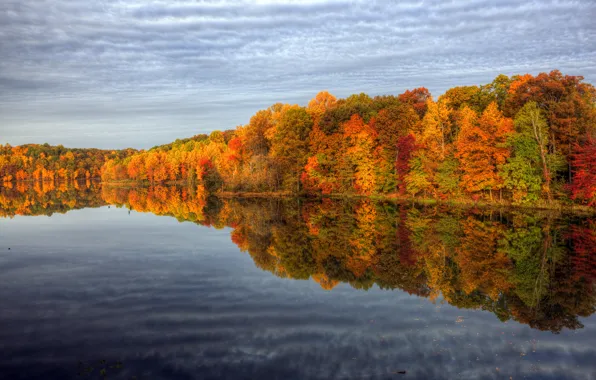 Picture autumn, the sky, water, reflection, trees, nature, paint