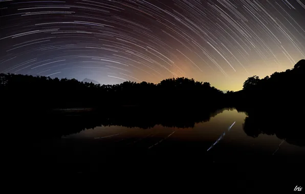 Trees, circles, night, lake, shooting, twilight, starry sky