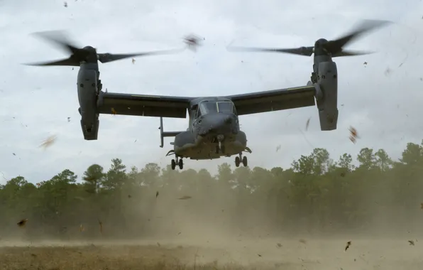 Picture forest, leaves, USA, landing, BBC, the tiltrotor, Osprey, Bell-Boeing