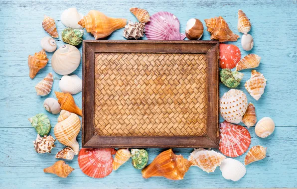 Shell, summer, wood, marine, starfish, composition, seashells