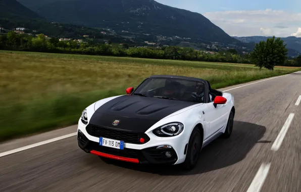 Field, mountains, Roadster, spider, black and white, double, Abarth, 2016