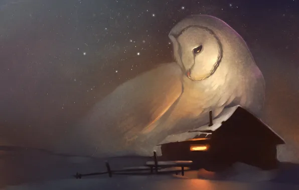 Winter, house, owl, stars, window, art