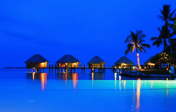 Night, lights, palm trees, the ocean, the evening, Bungalow, French Polynesia, islands