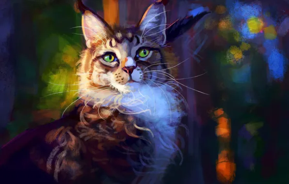 Cat, Maine Coon, by Meorow