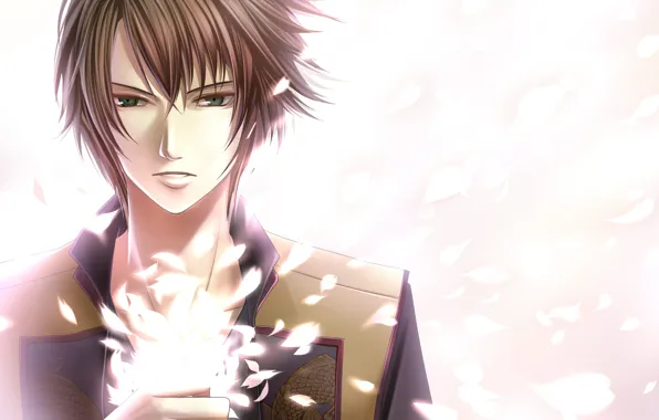 Lights, petals, Sakura, guy, Hakuouki, Demons pale cherry, Okita Souji, Hekketsu-roku