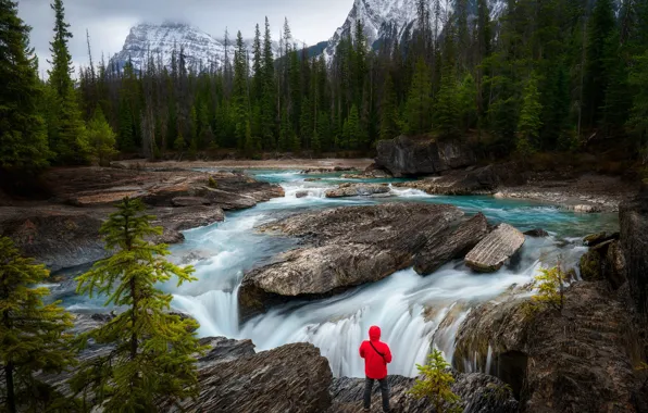 Forest, mountains, shore, people, waterfall, pond