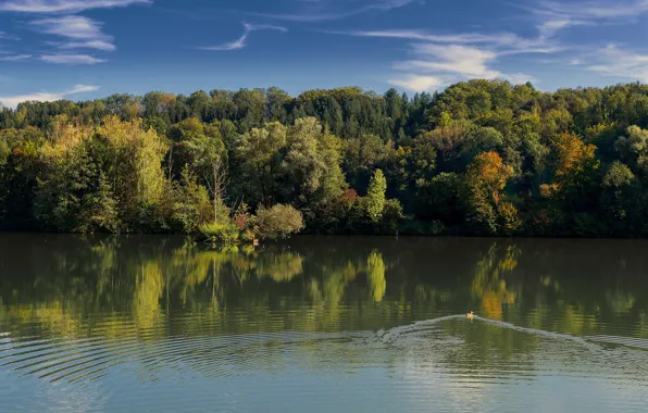 Autumn, forest, the sky, trees, lake, river