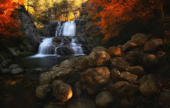 Leaves, trees, nature, stones, waterfall