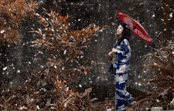 Picture girl, branches, umbrella, Snow, kimono, peer