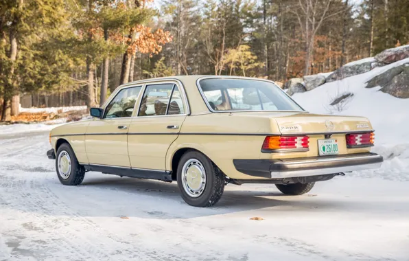 Picture 1979, W123, Mercede Benz, 240D