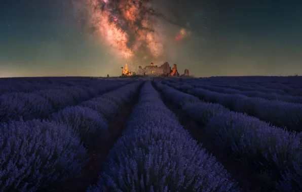 Night, castle, The milky way, architecture, lavender, lavender field
