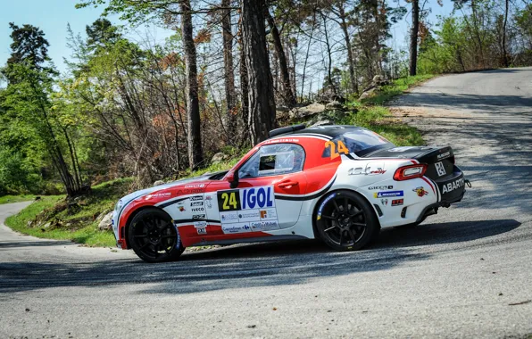 Picture side view, rally, 2018, Abarth, 124 Rally