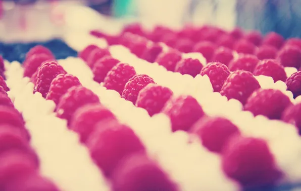 Picture macro, raspberry, background, Wallpaper, food, berry, a number