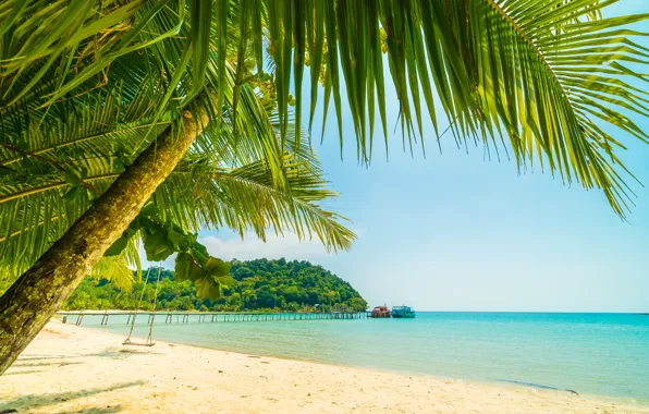 Sand, sea, wave, beach, summer, the sky, palm trees, shore