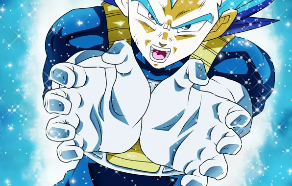 Guy, Dragon Ball, Dragonball