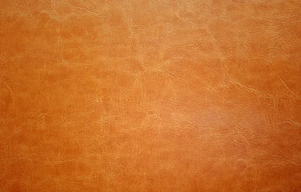 Picture leather, texture, leather, skin
