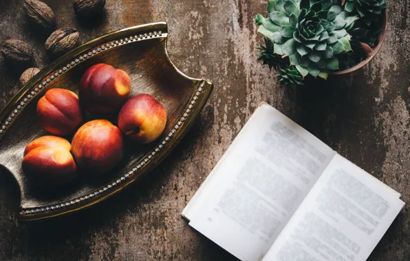 Table, Board, pot, book, fruit, still life, tray, composition