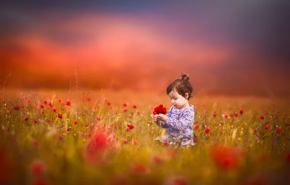 Picture field, flowers, girl