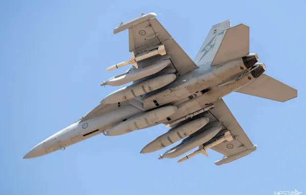 Royal Australian air force, The aircraft REB, PTB, AIM-120 AMRAAM, HESJA Air-Art Photography, Container REB …