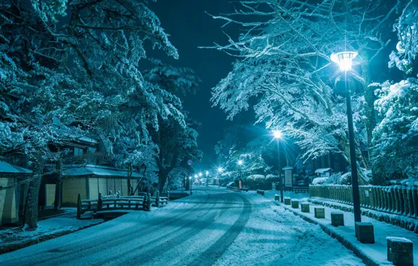 Picture winter, road, snow, night, the city, house, street, lights