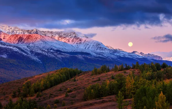 Picture autumn, forest, mountains, the moon