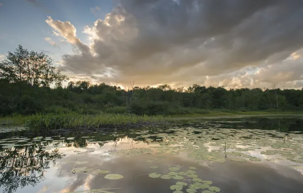 Picture Sunset, Nature, Clouds, Lake, Nature, Clouds, Sunset, Lake