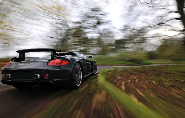 Picture Porsche, Turn, Carrera GT