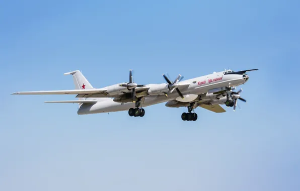 Picture The plane, Russia, BBC, Bear, Tu-142, Tupolev, Tupolev, 142
