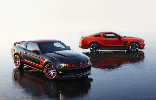 Water, red, black, mustang, Mustang, red, ford, black