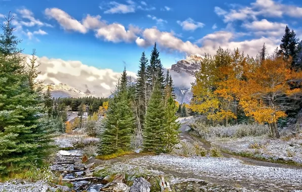 Picture landscape, mountains, nature