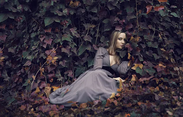 Look, leaves, girl, face, background, Katie