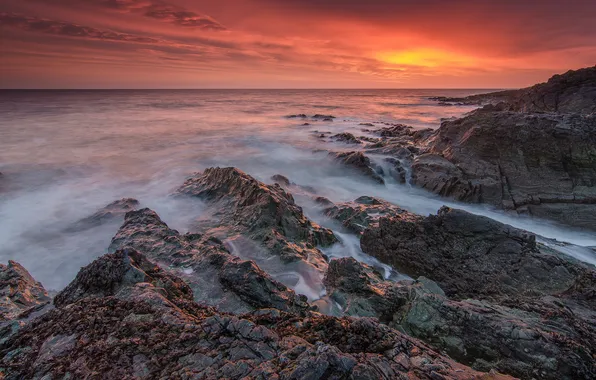 The sky, nature, stones, the ocean, rocks, dawn, shore