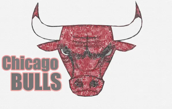 Picture Basketball, Background, Logo, NBA, Chicago Bulls, Bulls