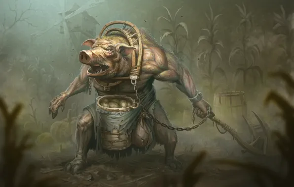 Weapons, pig, barrel, boar