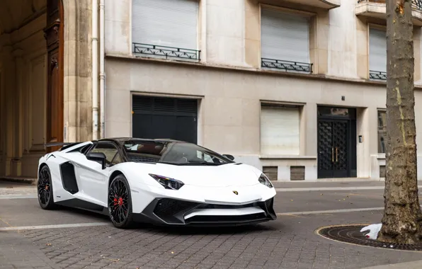 Picture Roadster, Lamborghini, Aventador