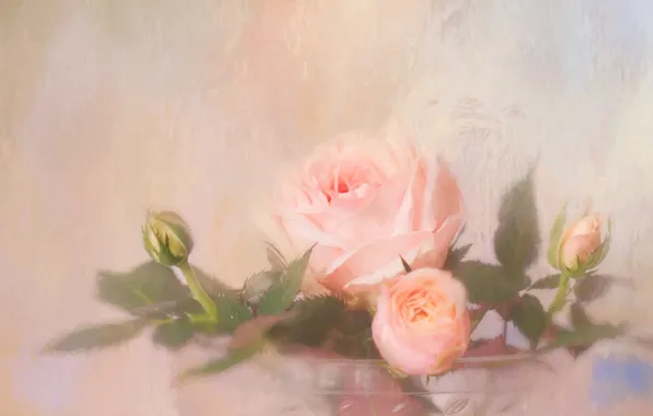 Glass, flowers, background, figure, roses, treatment, bouquet, light