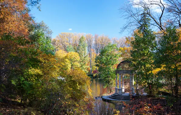 Autumn, trees, pond, Park, USA, Longwood, Kennett Square