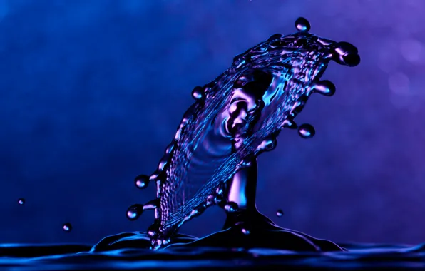 Macro, squirt, blue, droplets, background, Water, splash, plop